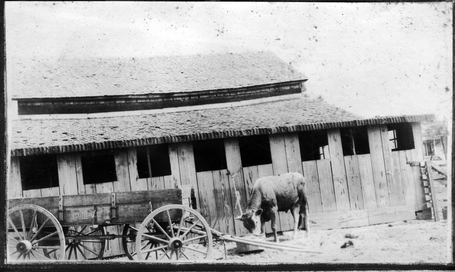 028~T. W. Belote New Barn Apr 1921.jpg